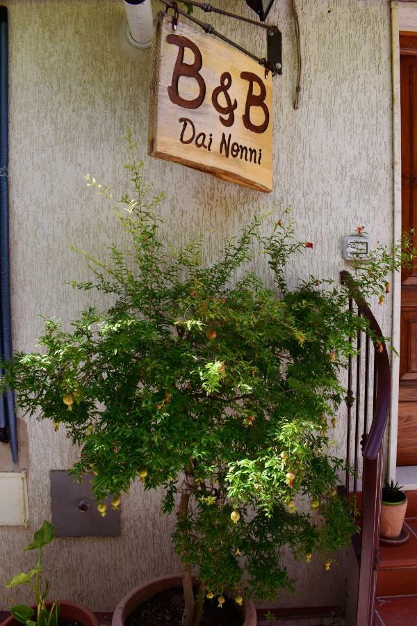 Dai Nonni, B&B A كييتي المظهر الخارجي الصورة